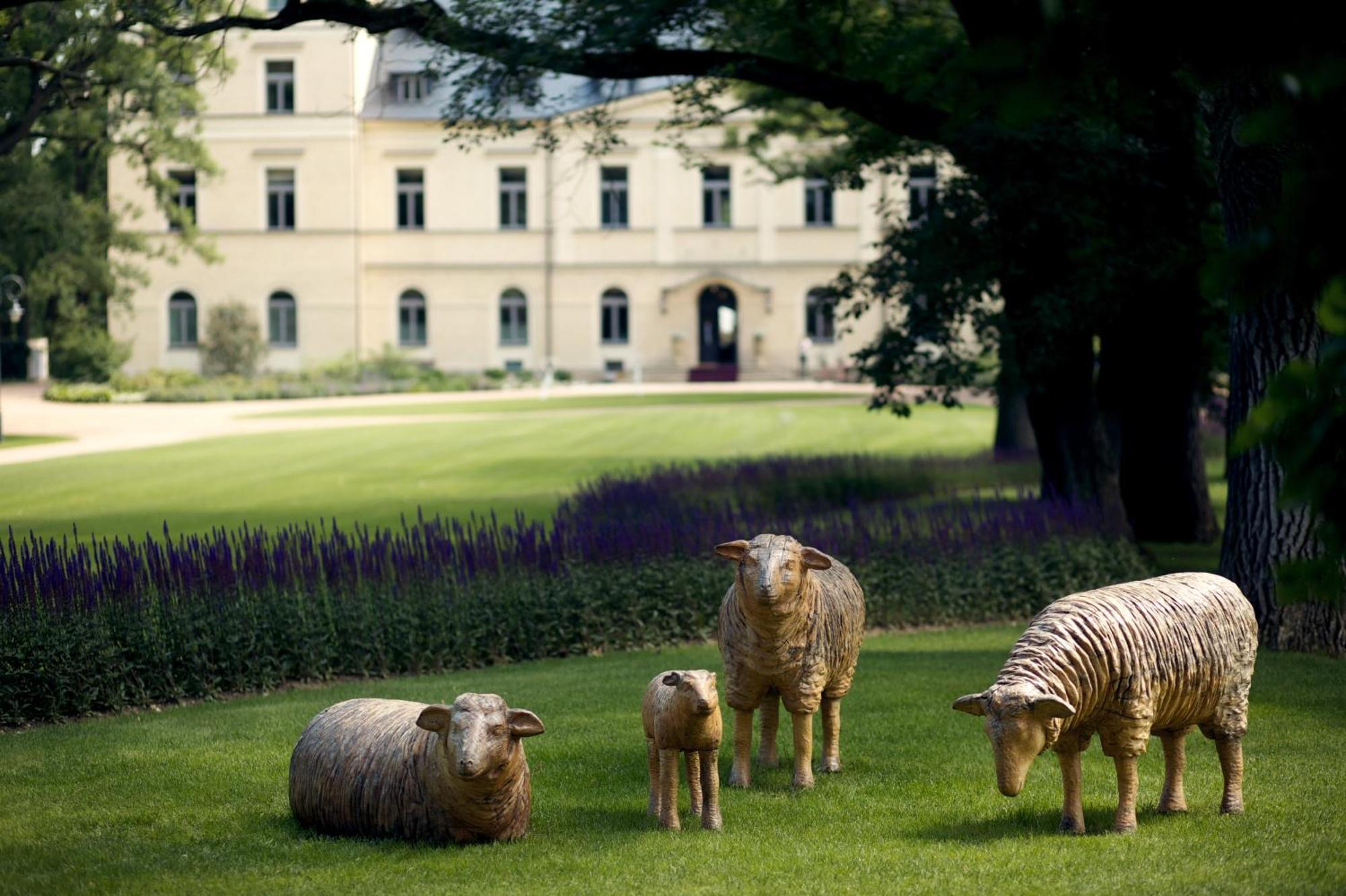 Chateau Mcely Exteriör bild