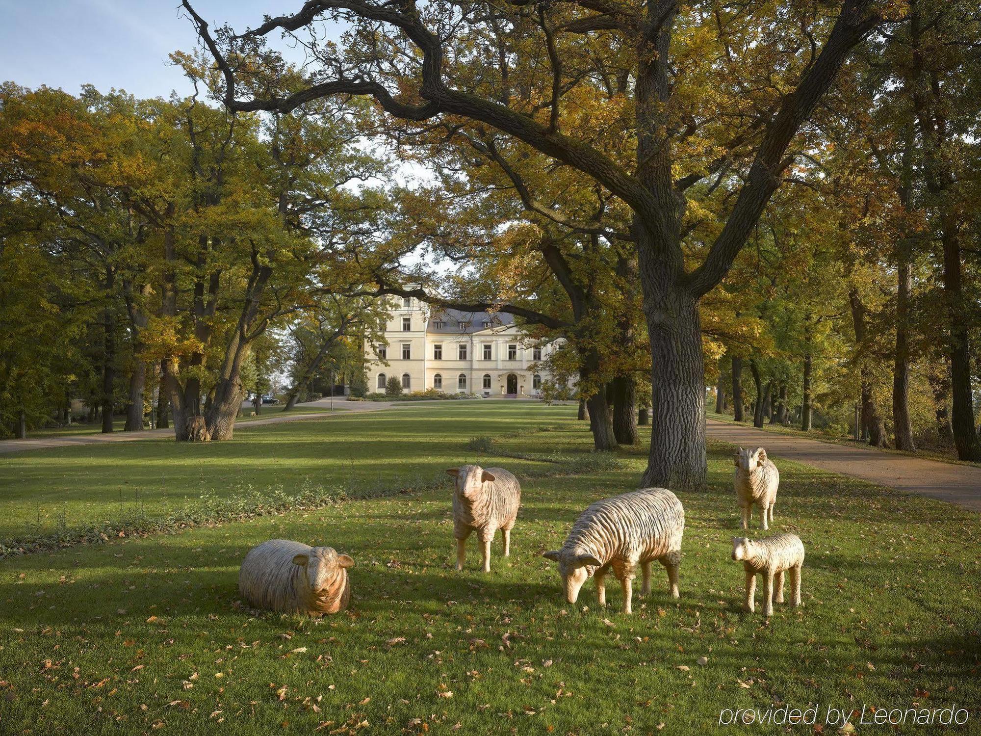 Chateau Mcely Exteriör bild